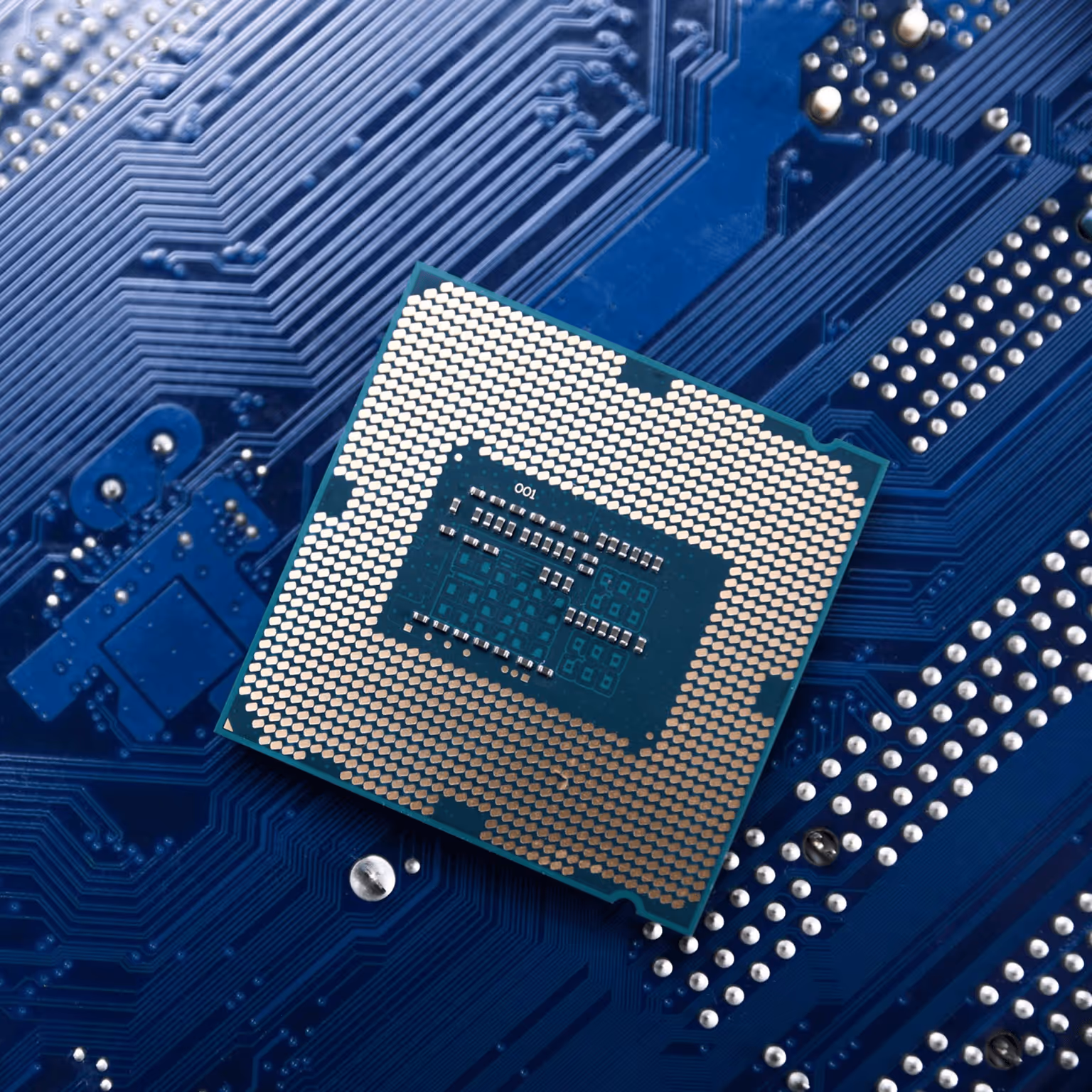 Close-up of a square computer processor with metallic pins resting on a blue circuit board, highlighting intricate connections and electronic components.