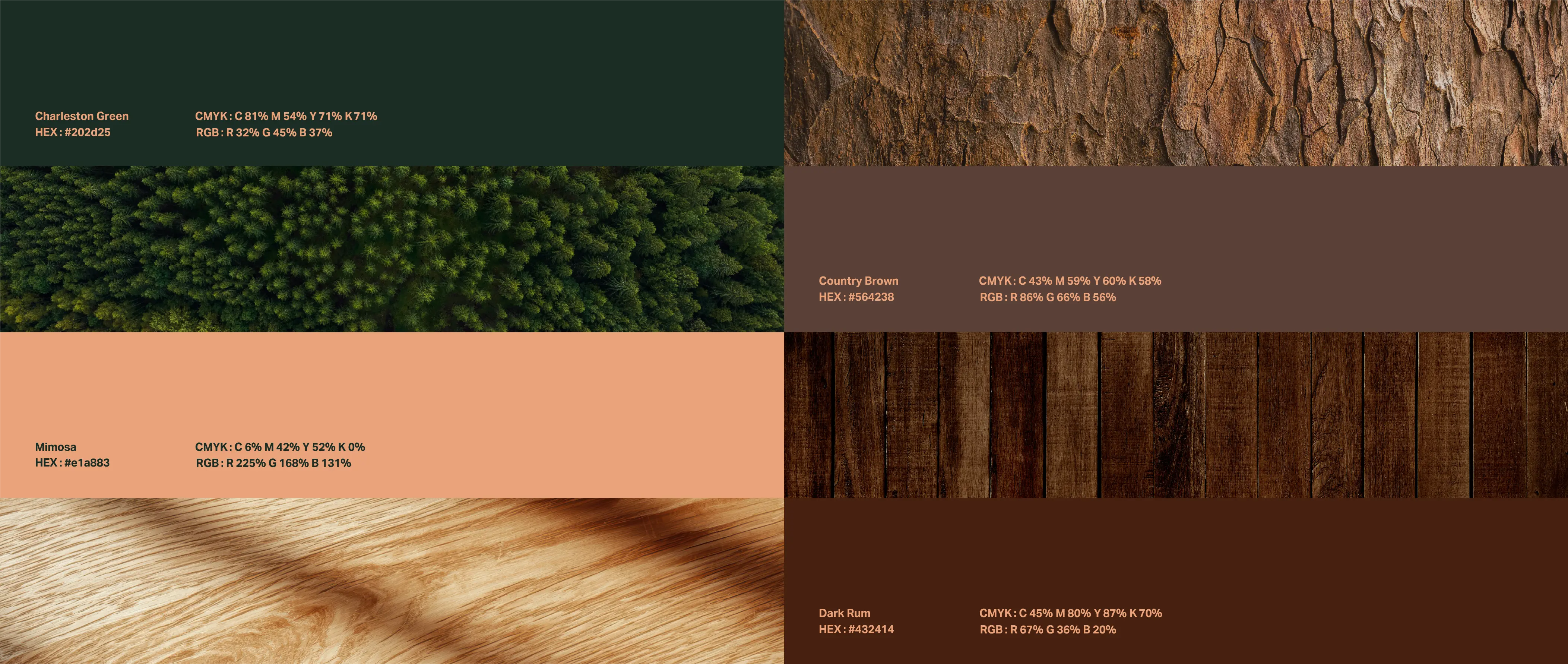 Brand identity for KAVLORA, image 10
