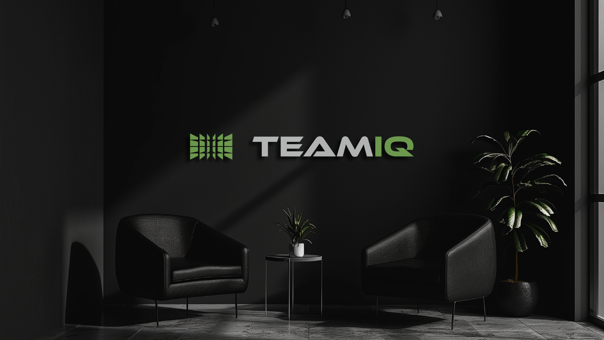Brand identity for TeamIQ, image 2