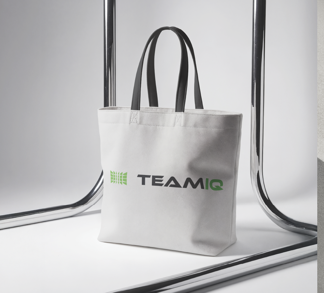 Brand identity for TeamIQ, image 7