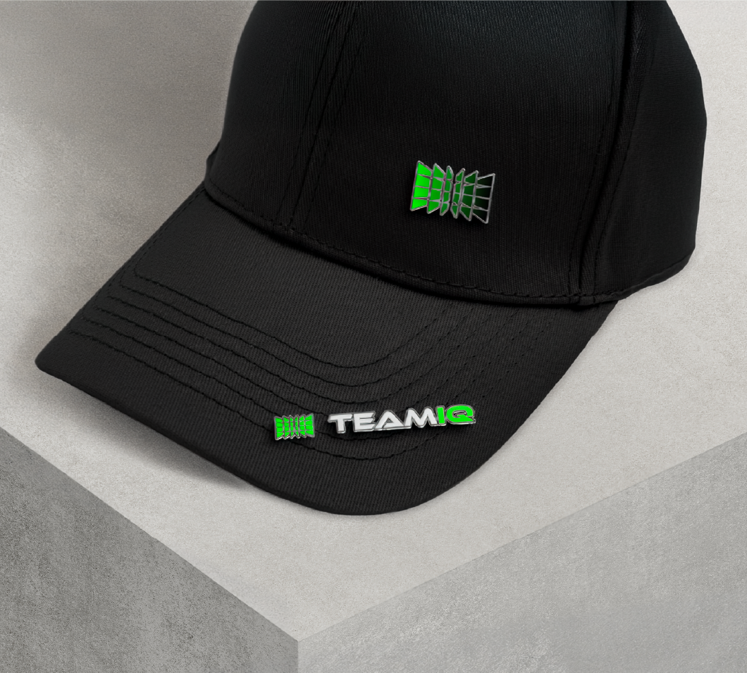 Brand identity for TeamIQ, image 8