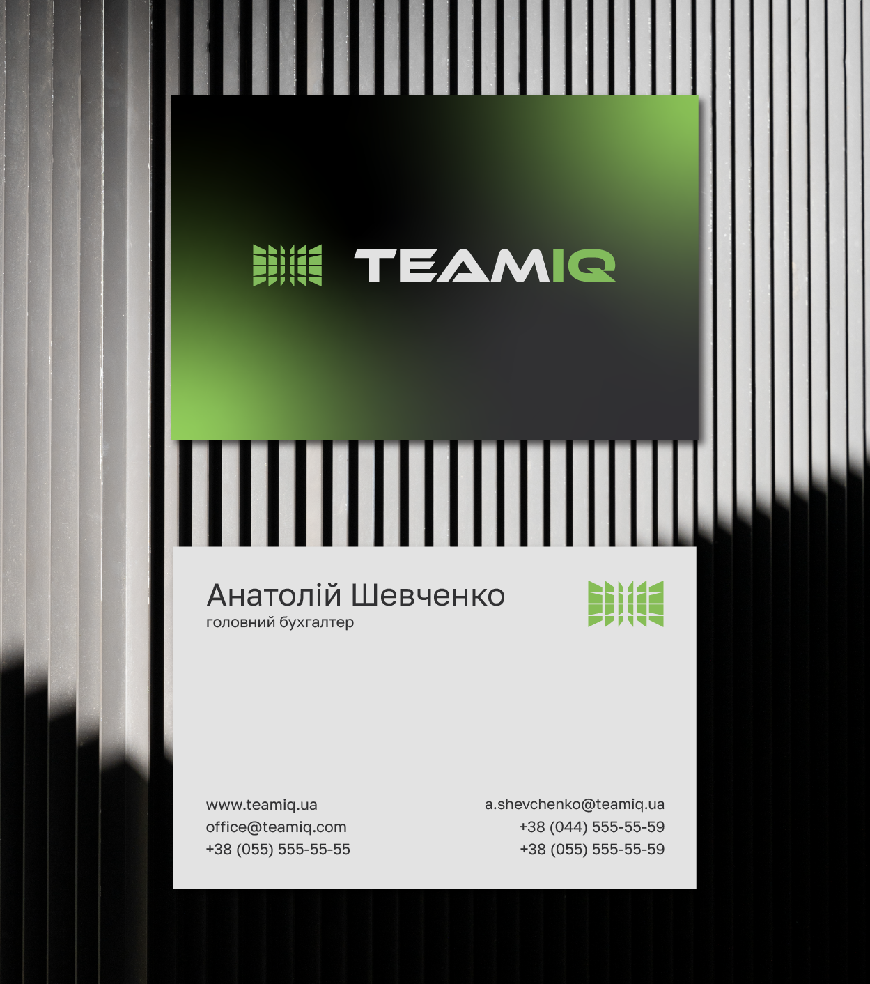 Brand identity for TeamIQ, image 11
