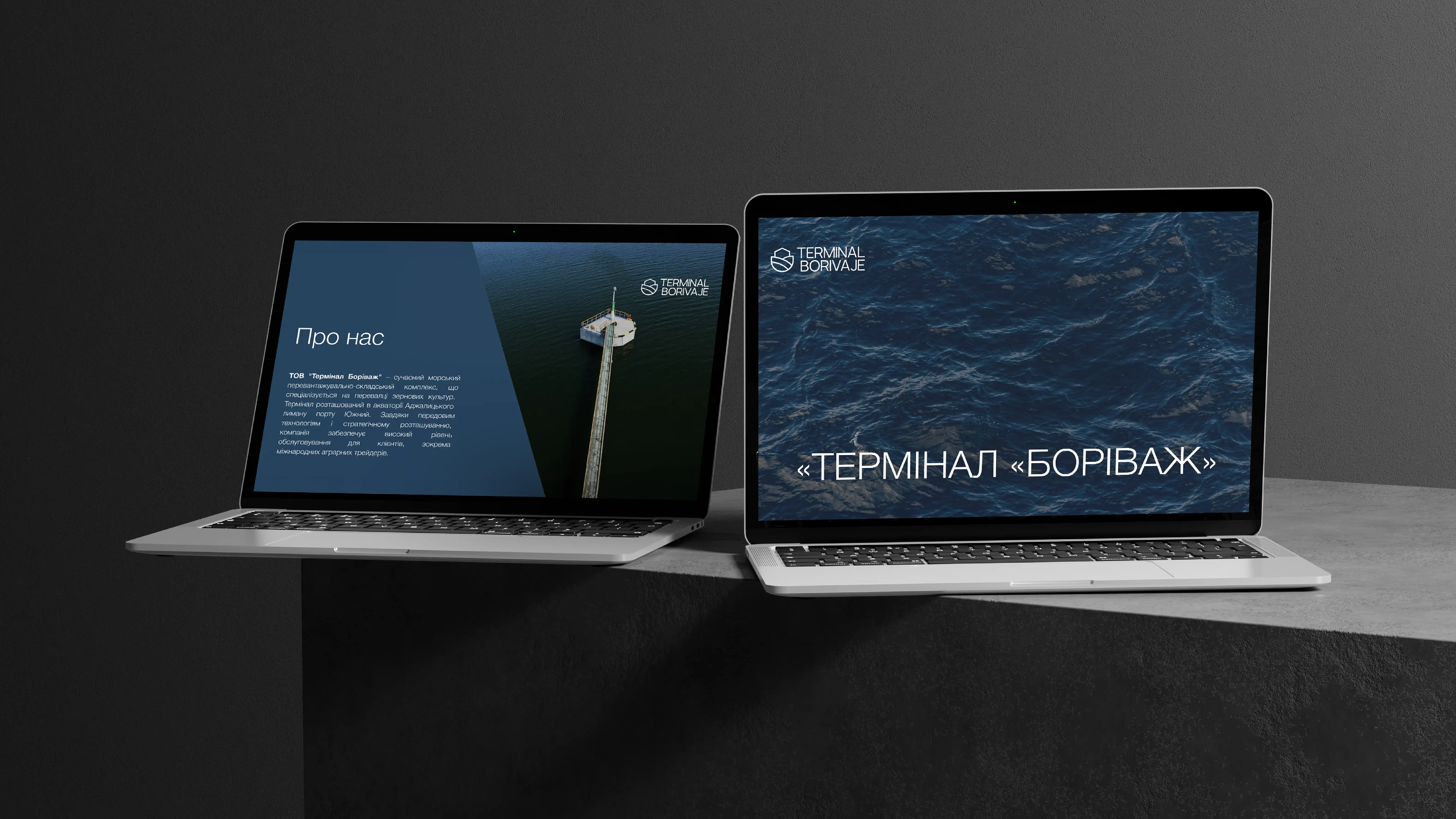 Айдентика для Terminal Borivaje, зображення 10