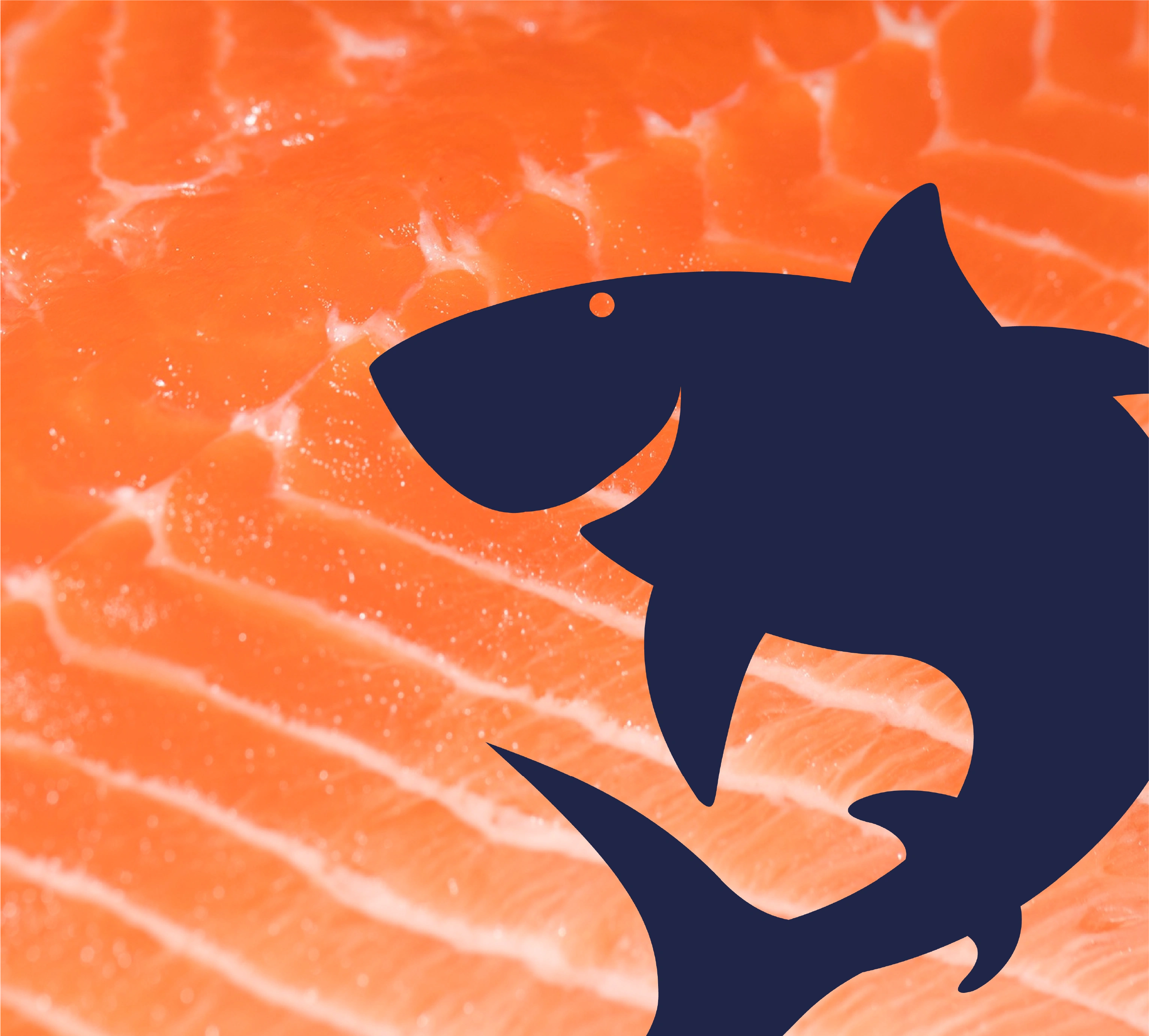 Айдентика для Акула Мама, зображення 16