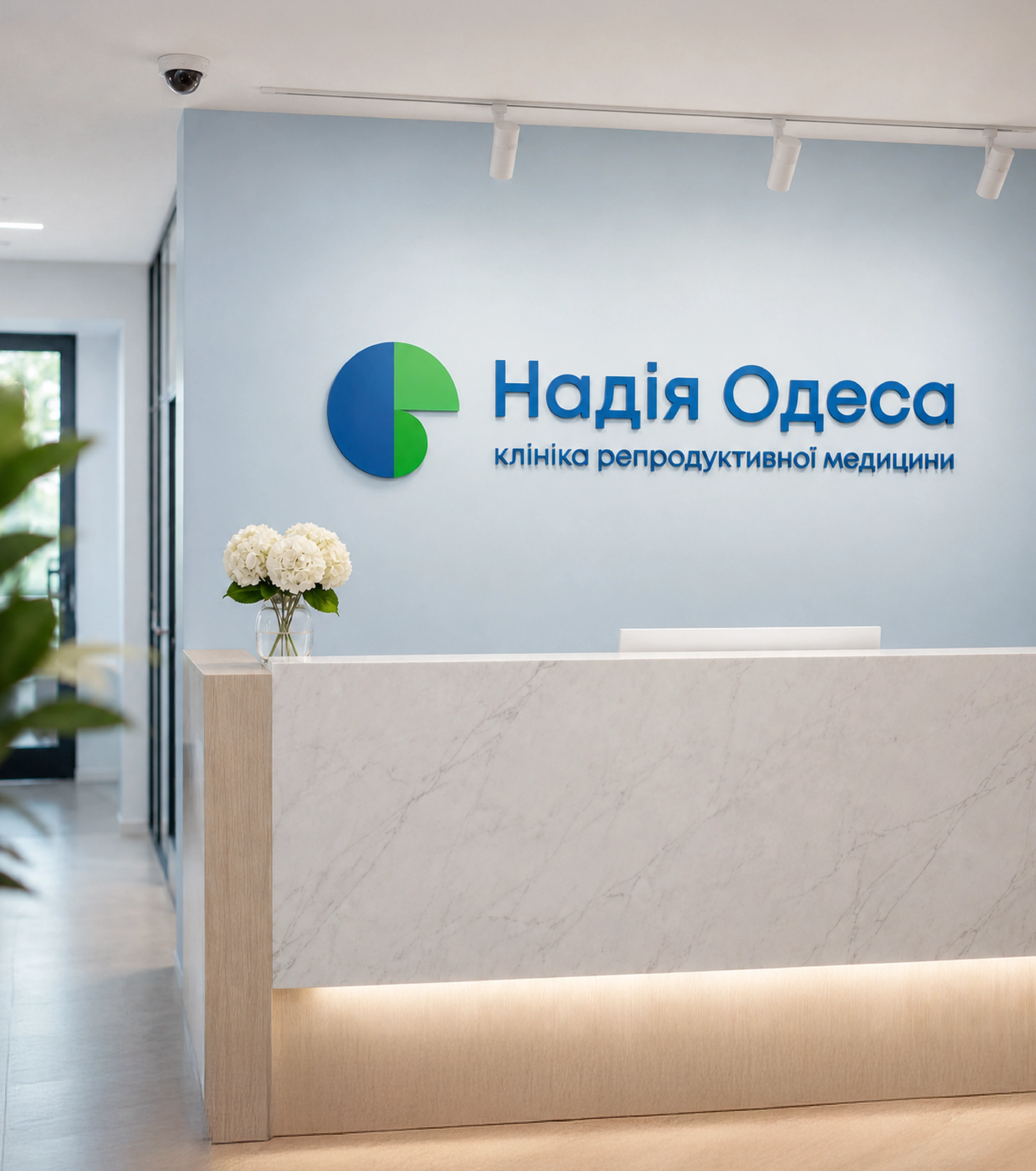 Айдентика для Надія Одеса, зображення 4