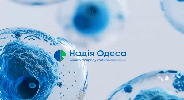 Залишити порожнім