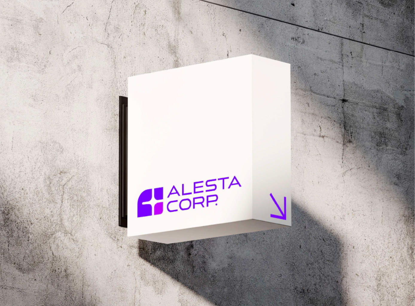 Brand identity for ALESTA CORP, image 9