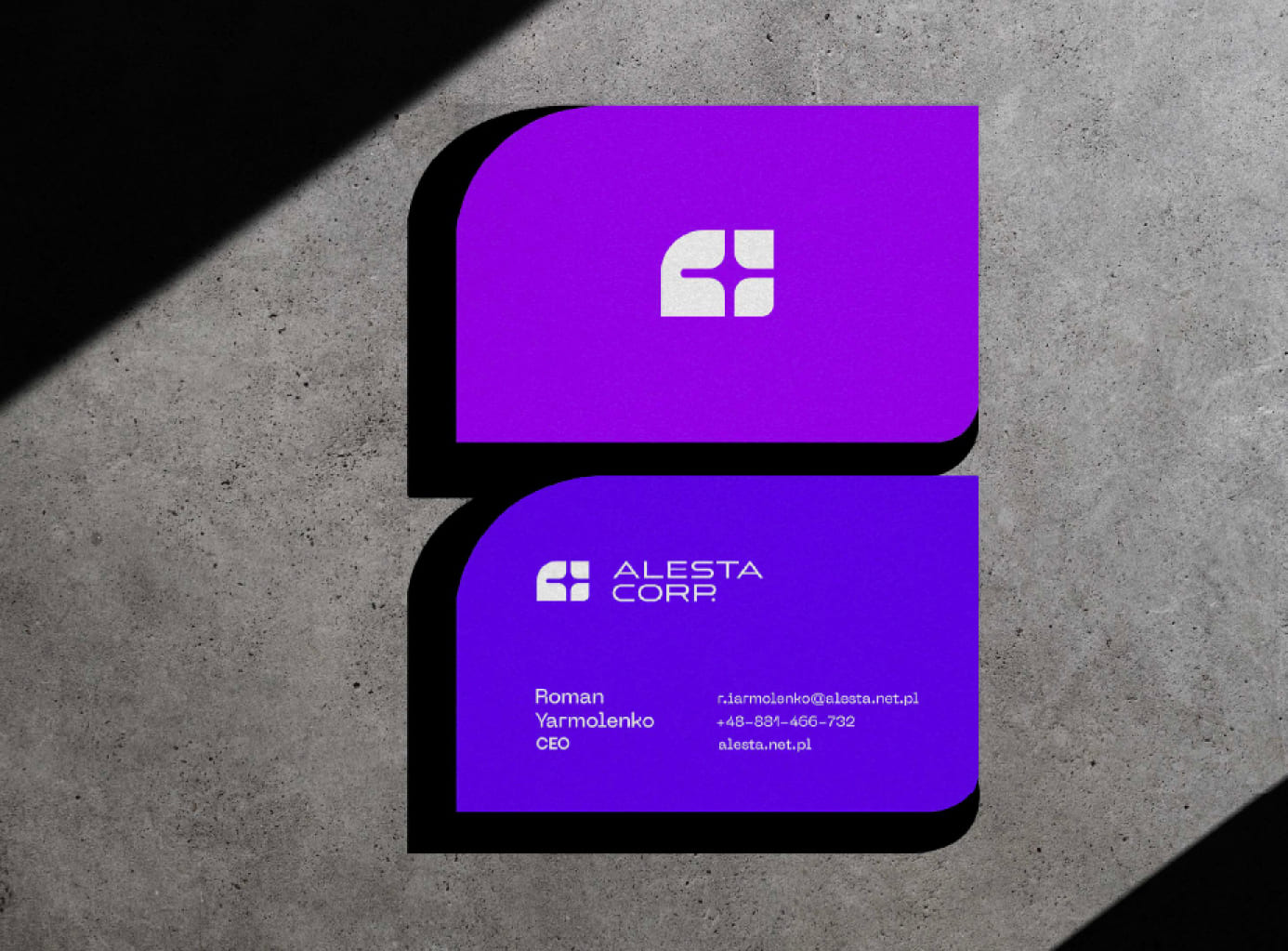 Brand identity for ALESTA CORP, image 10