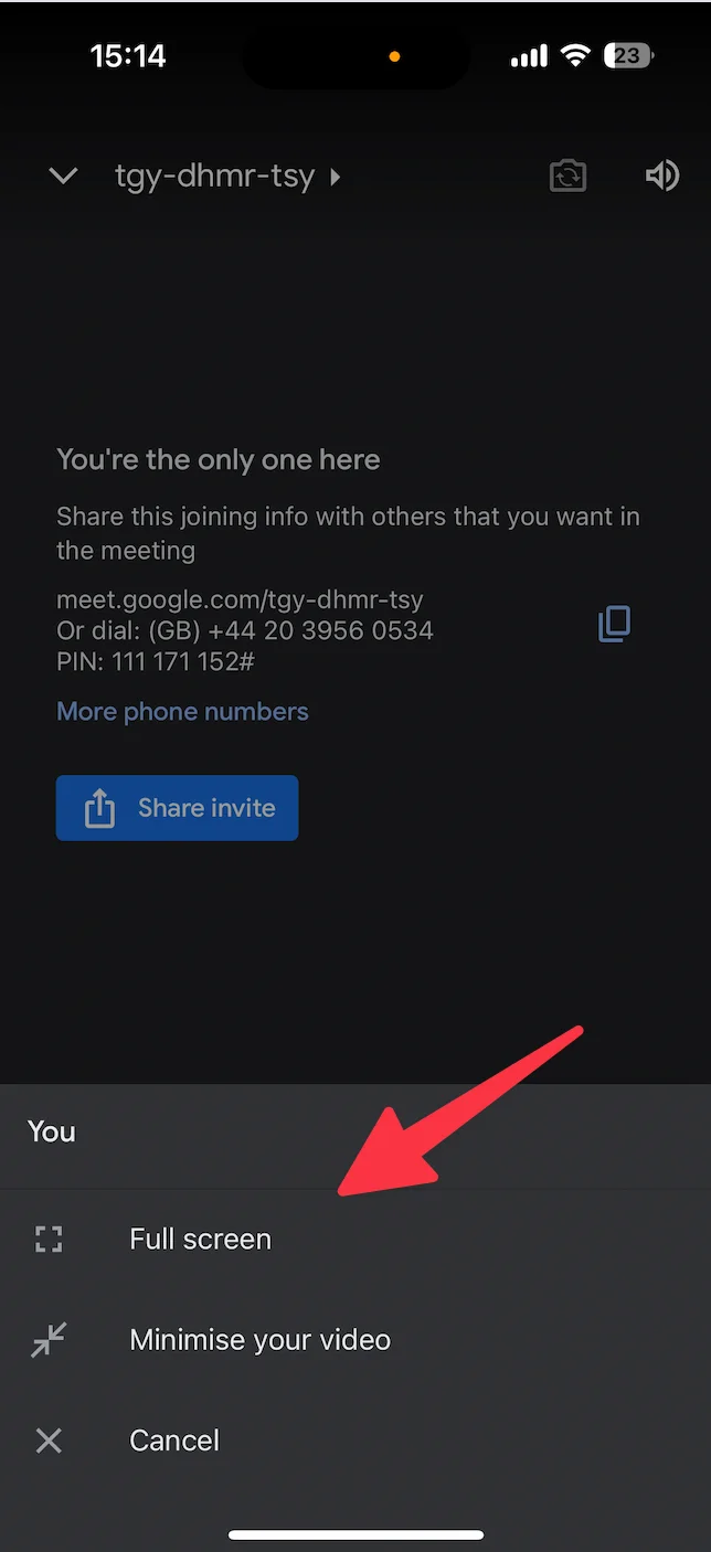 How to go Google Meet full screen on iPhone