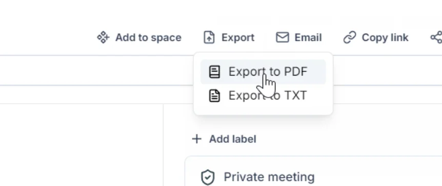 Tactiq Export Options