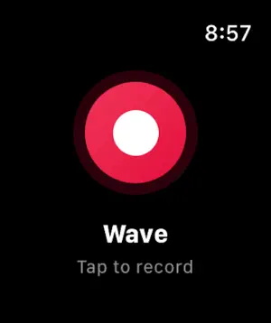 Wave recording on Apple Watch