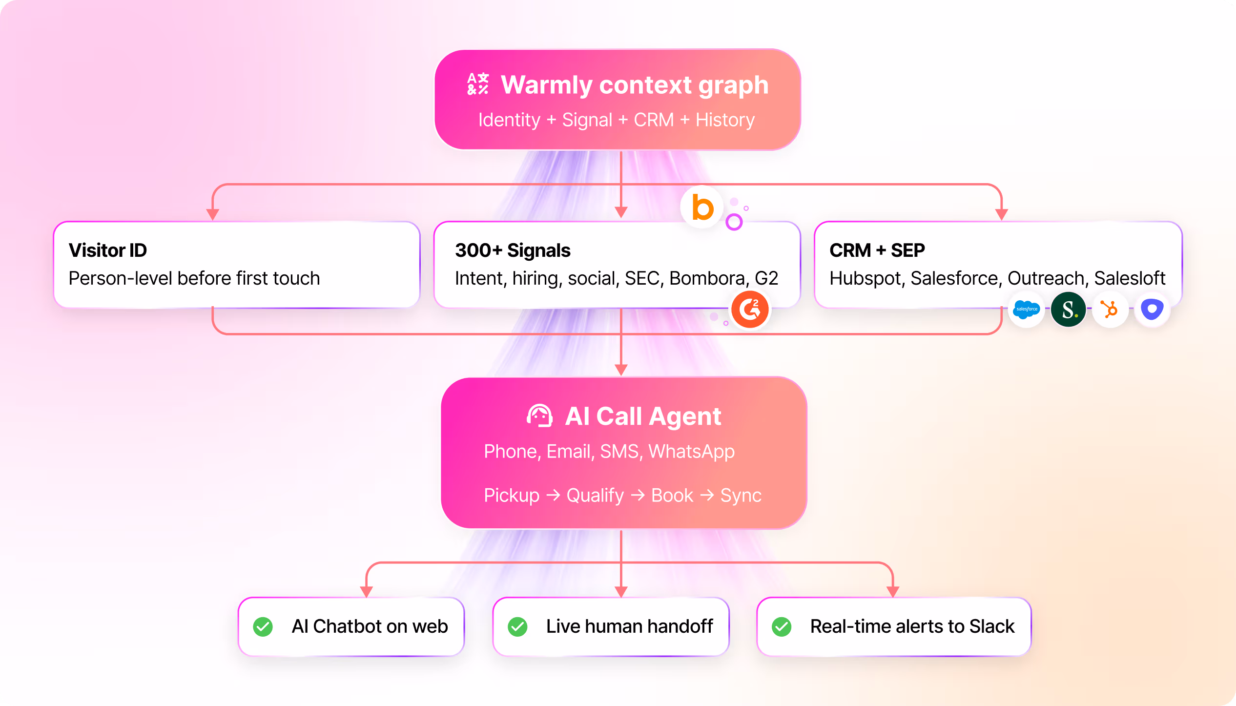 Connection to the Warmly Platform
