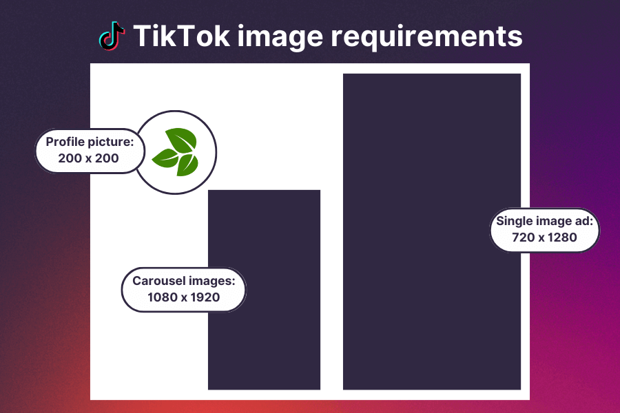 TikTok image requirements