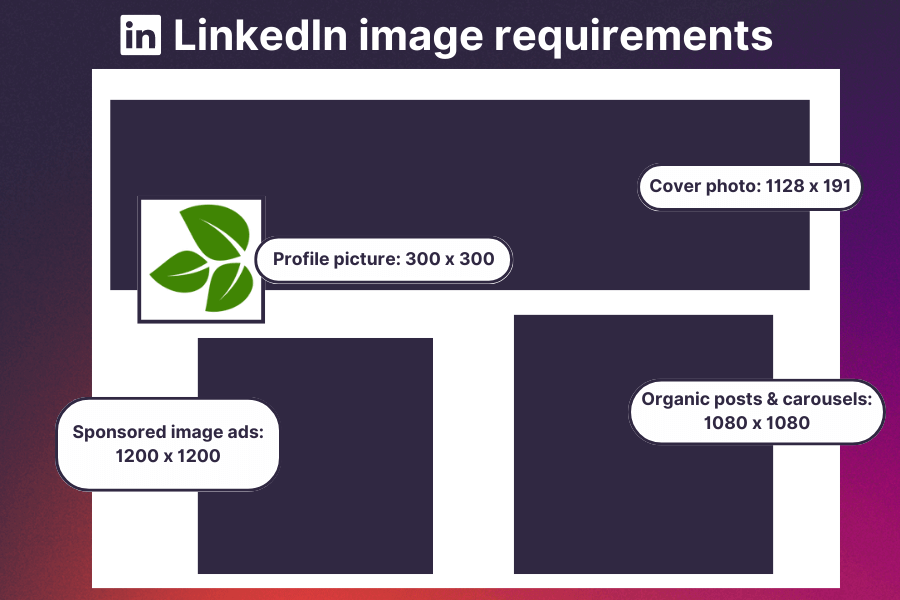 LinkedIn image requirements