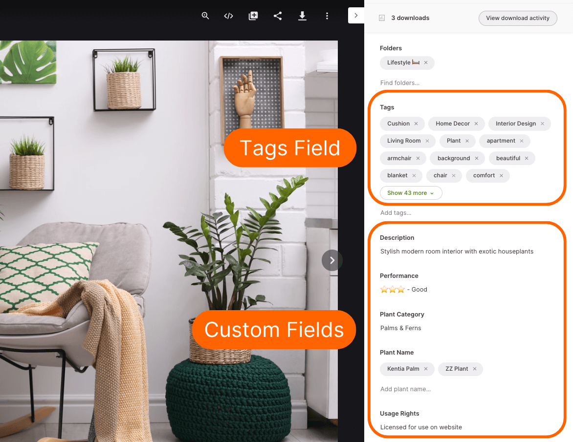 tags and fields in Dash