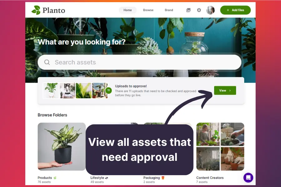 View assets that need your approval