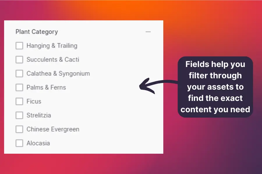 Fields and filters help you find assets, fast