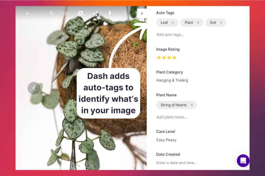 Auto-tags identify whats in your images