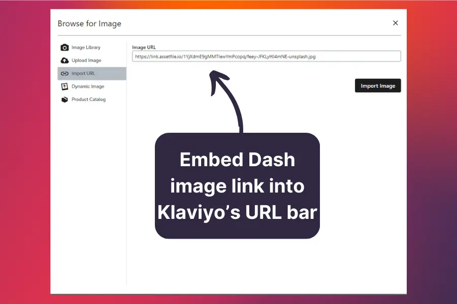 Embed Dash imgaes into Klaviyo