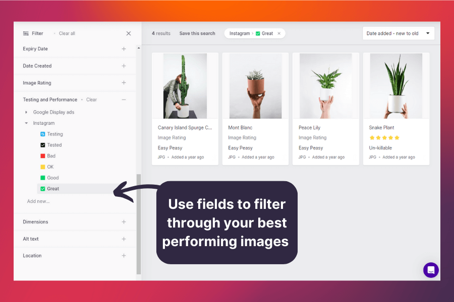 use filters in Dash