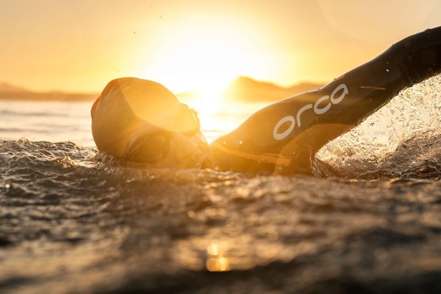 Dash-Orca-CaseStudy1