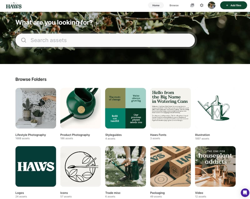 Dash_Haws_Homepage