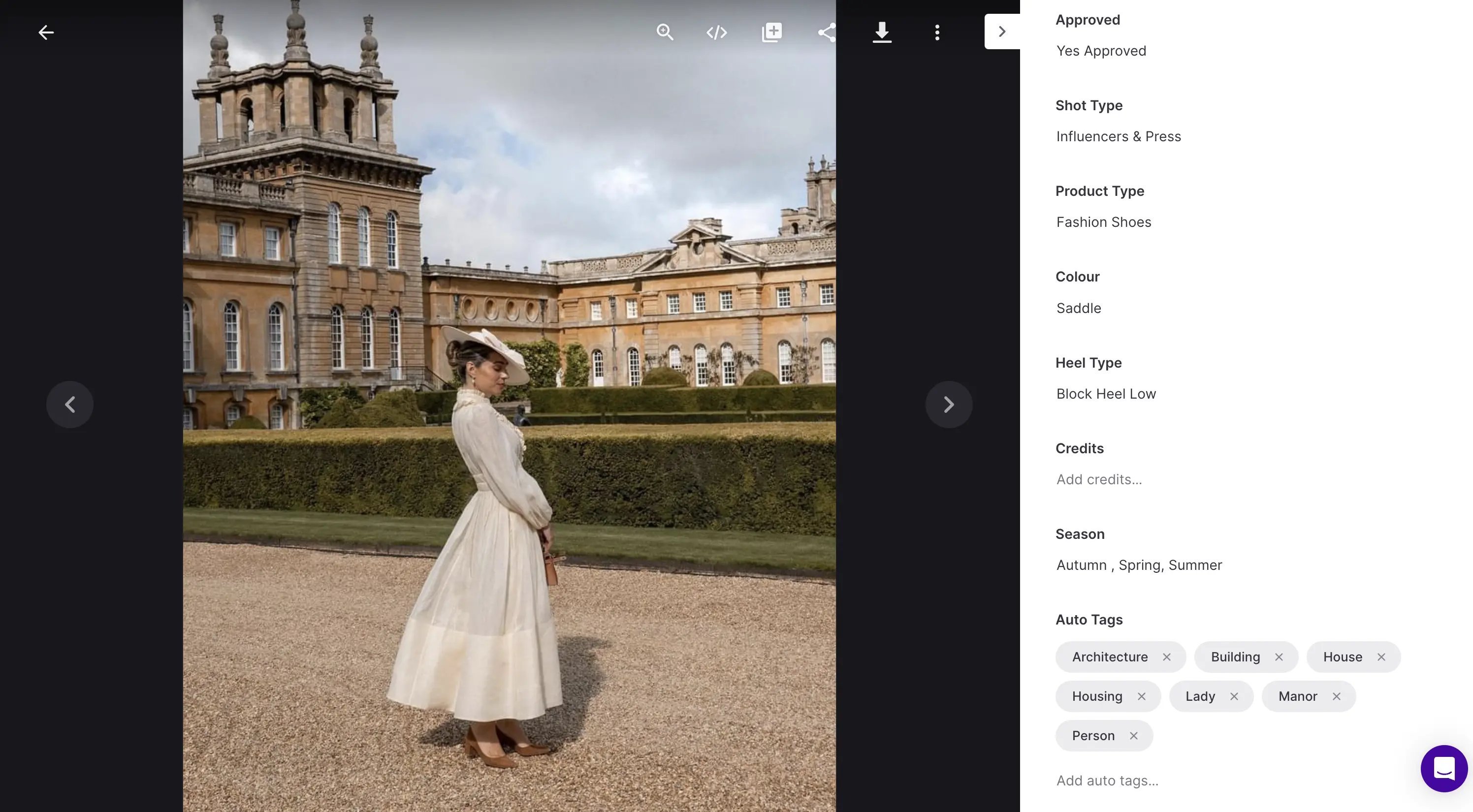 Emmy London use fields and tags in Dash