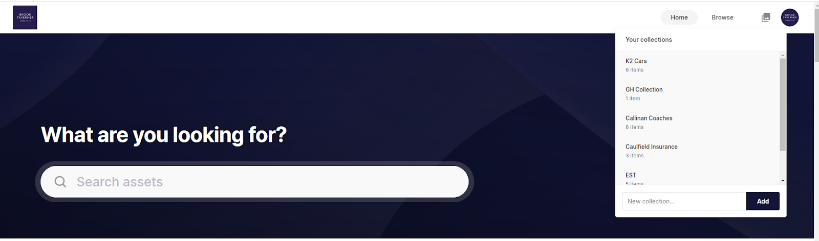 Create collections to share assets in Dash