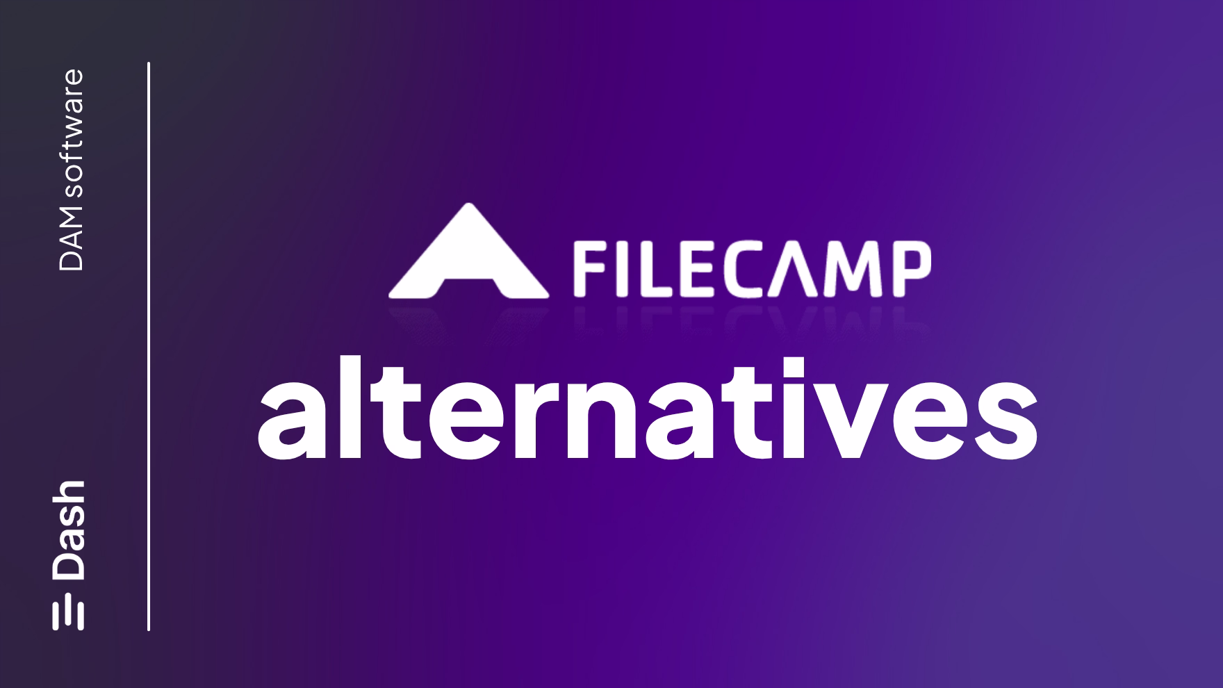 Filecamp alternatives: which DAM is best for creative teams?