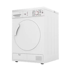 Dryer Repair