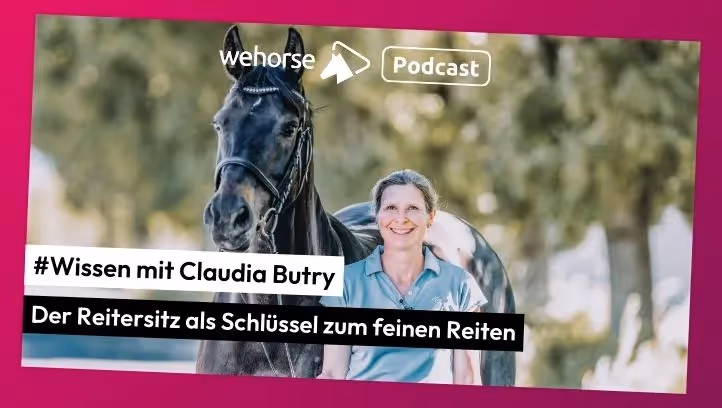 #Wissen Den Reitersitz verstehen und nachhaltig verbessern mit Claudia Butry