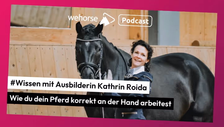 #Wissen mit Ausbilderin Kathrin Roida: Wie du dein Pferd korrekt an der Hand arbeitest