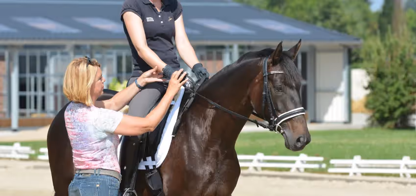 Reiten lernen mit passendem Reitlehrer