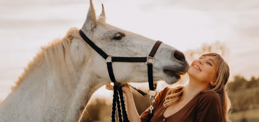 Pferde machen das Reiten lernen zu etwas ganz Besonderem.