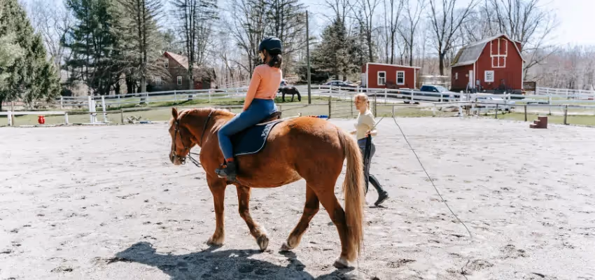 Reiten lernen an der Longe.