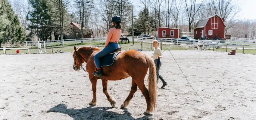 Reiten lernen an der Longe.
