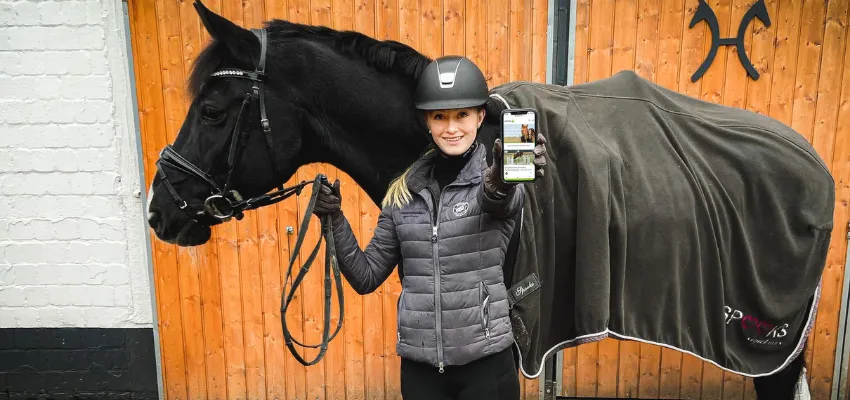 Reiten lernen auch ohne Pferd - mit wehorse
