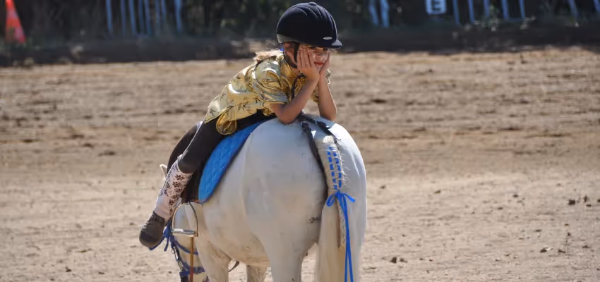 Kindergerechter Reitunterricht.