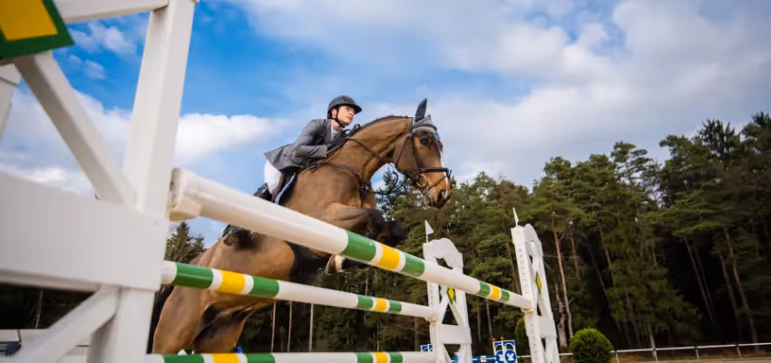 Reiterin mit ihrem Pferd überm Sprung auf einem Springturnier.