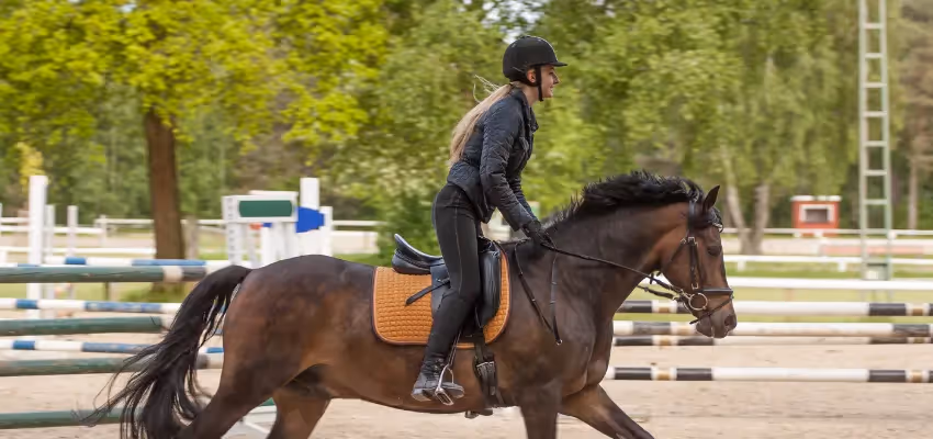 Dressurmäßige Arbeit als Grundlage fürs Springreiten.