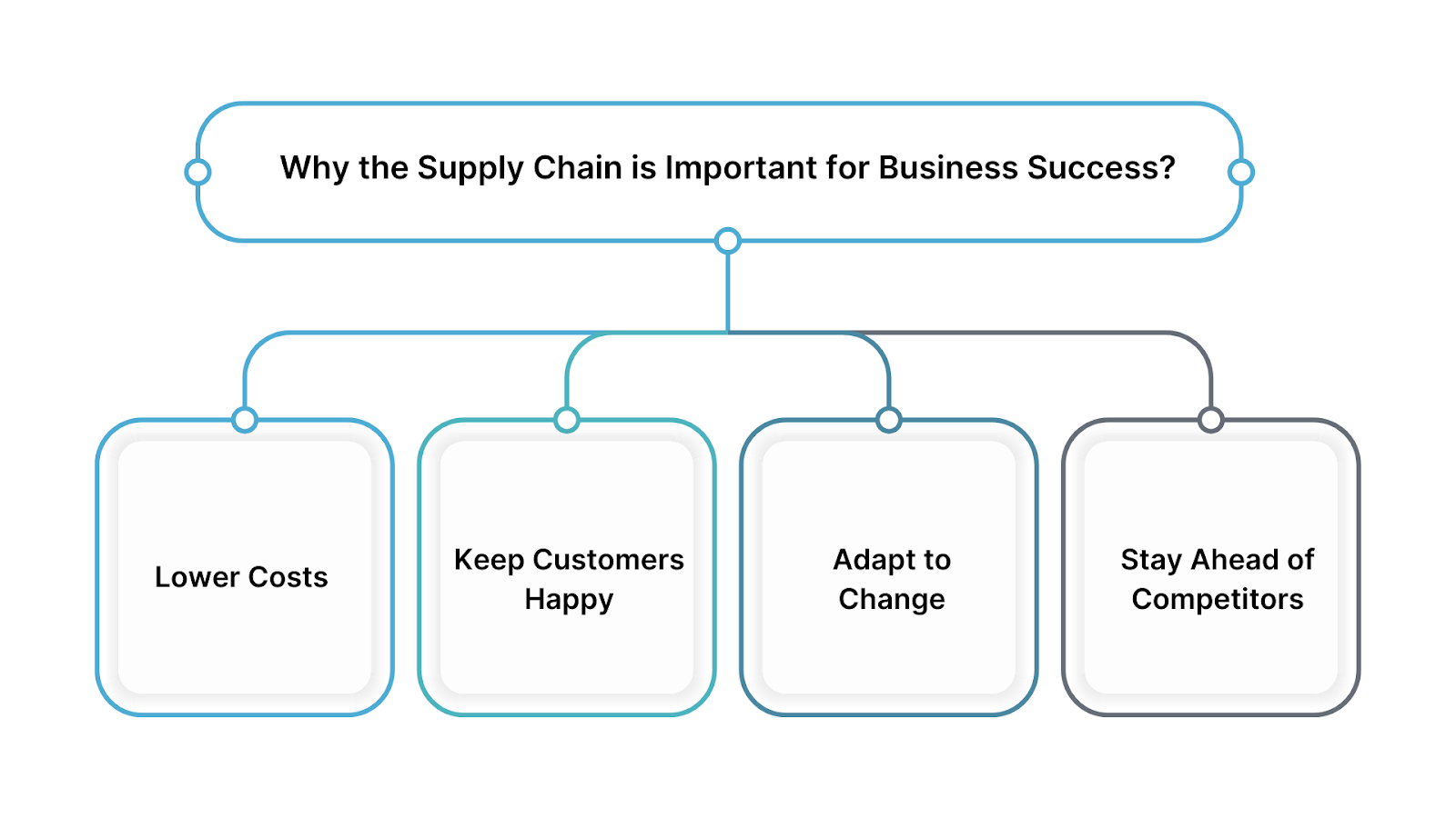 Why the Supply Chain is Important for Business Success