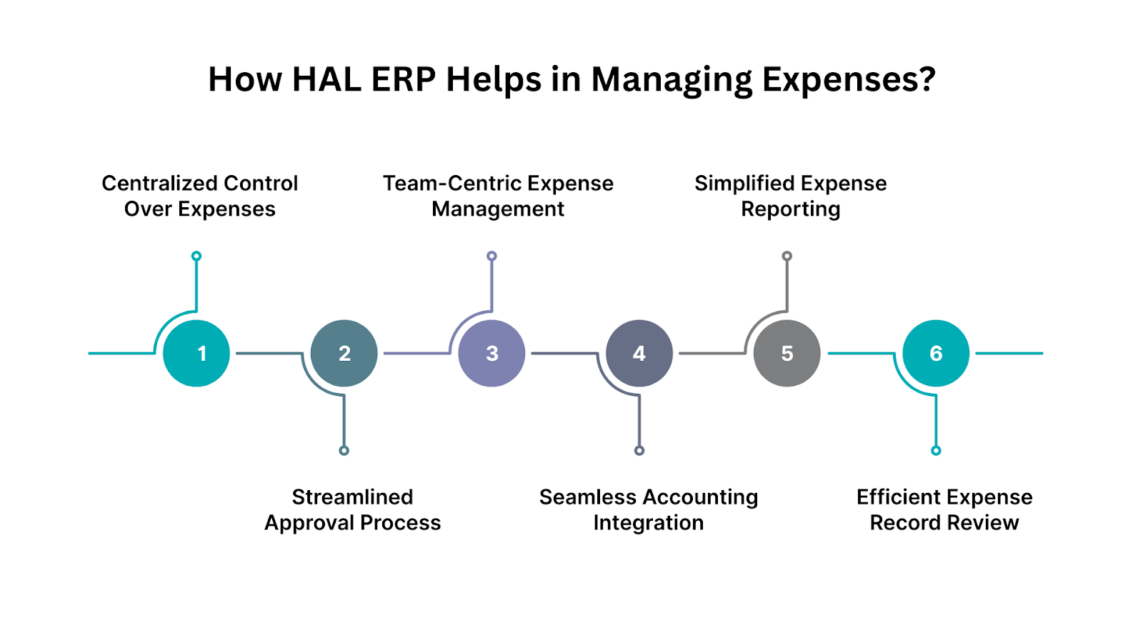 How HAL ERP Helps in Managing Expenses