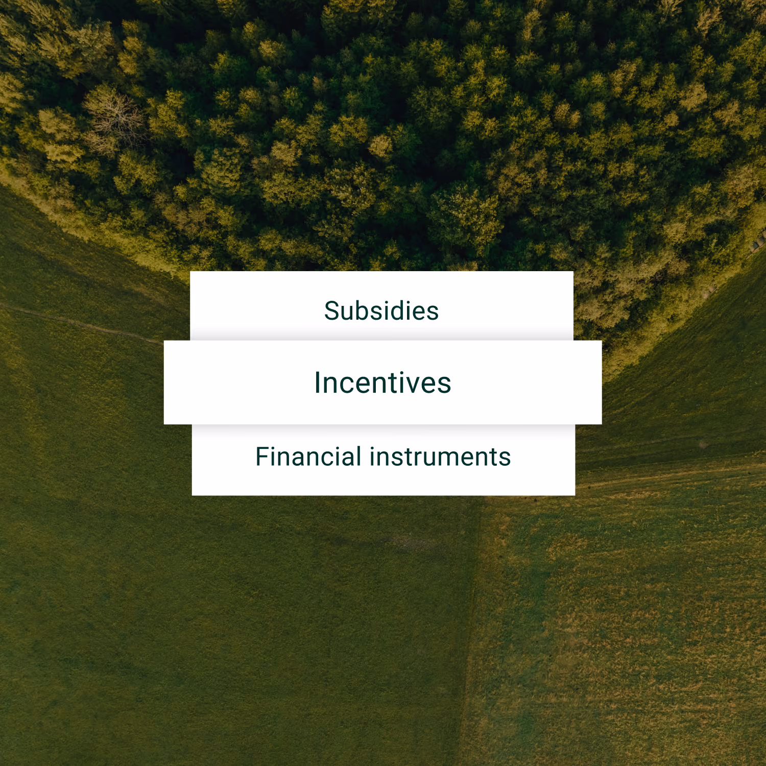 Aerial view of forest and fields with labels for subsidies, incentives and financial instruments