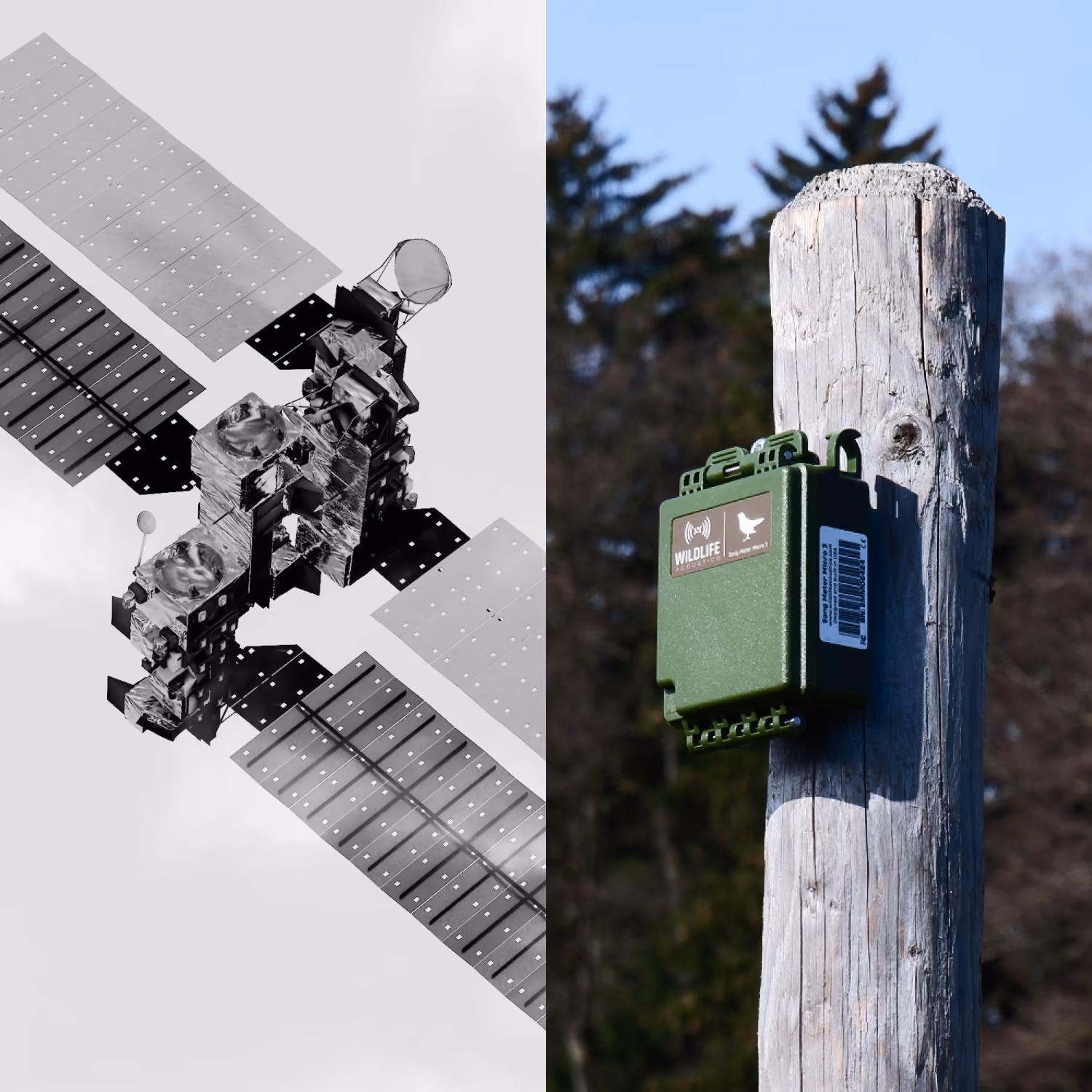 Satellite beside a field sensor mounted on a wooden post