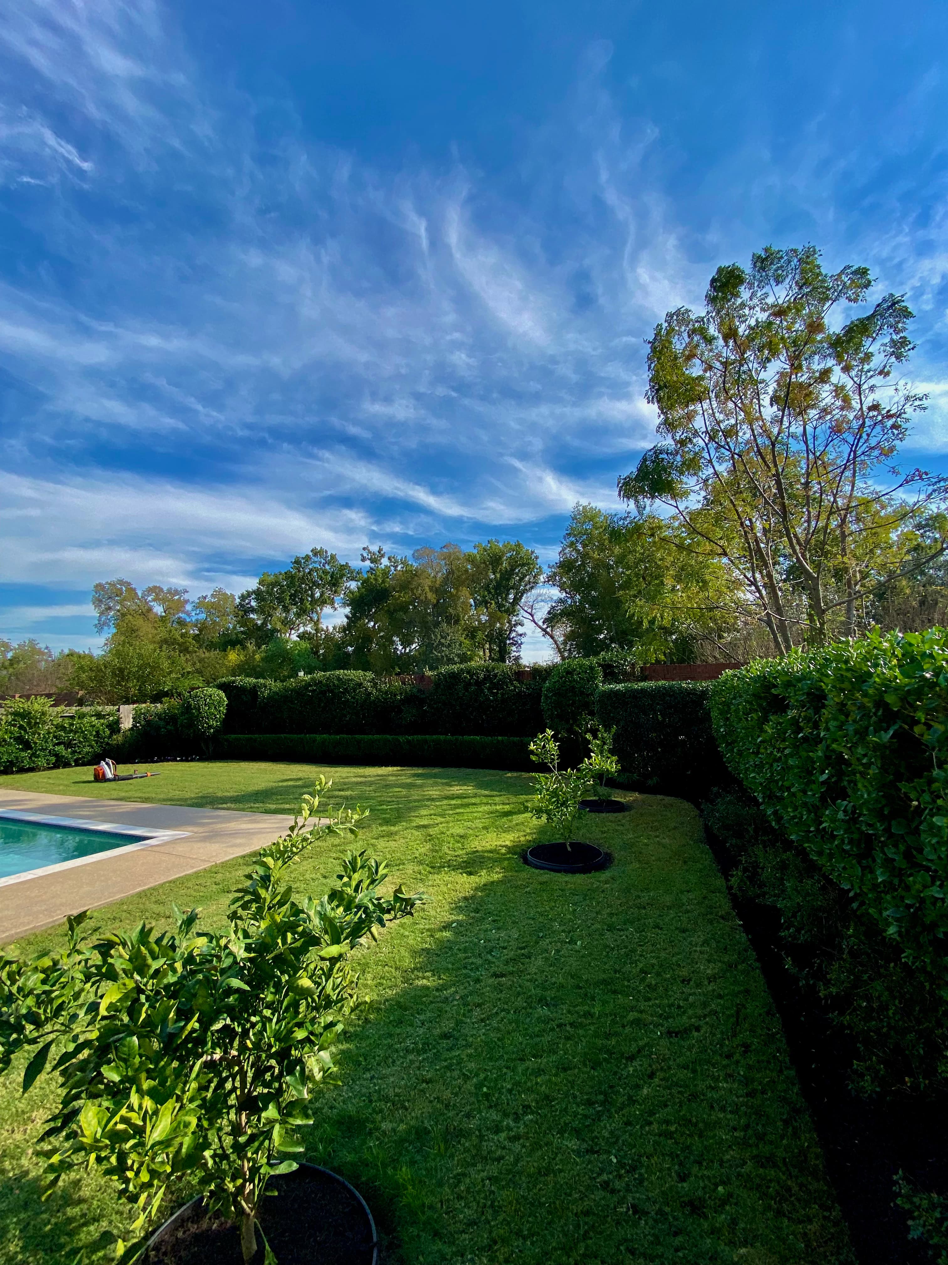 Residential backyard landscape refresh with cleaned-up hedges, fresh mulch, green lawn, and poolside planting beds