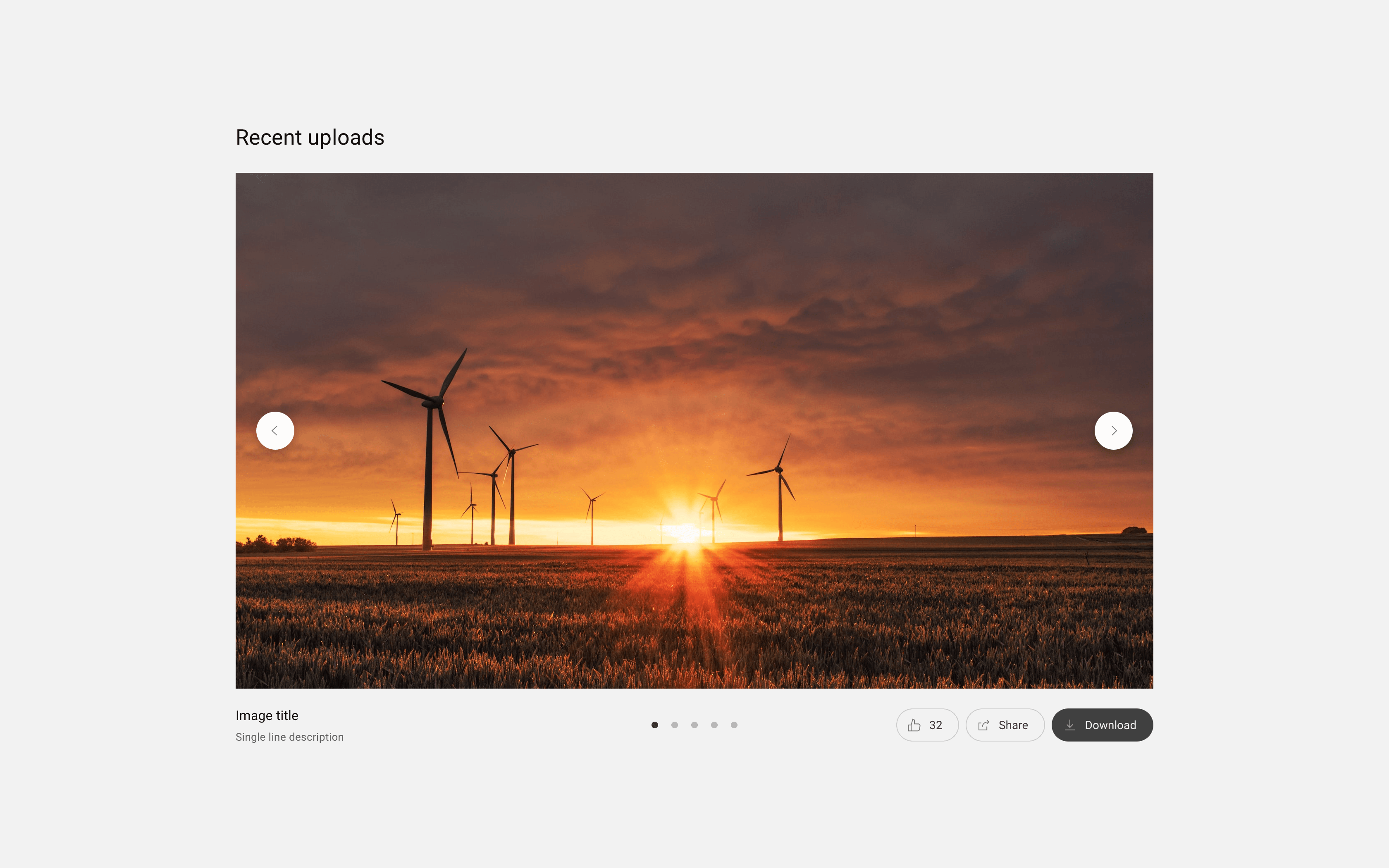 Full-width carousel with overlaid navigation controls and supporting actions such as like, share, and download