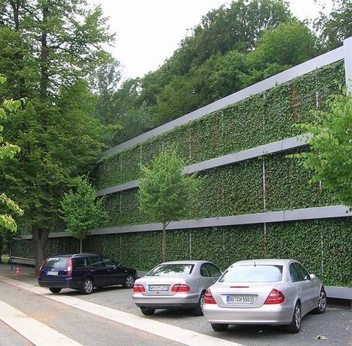 Green living wall in car parking lot
