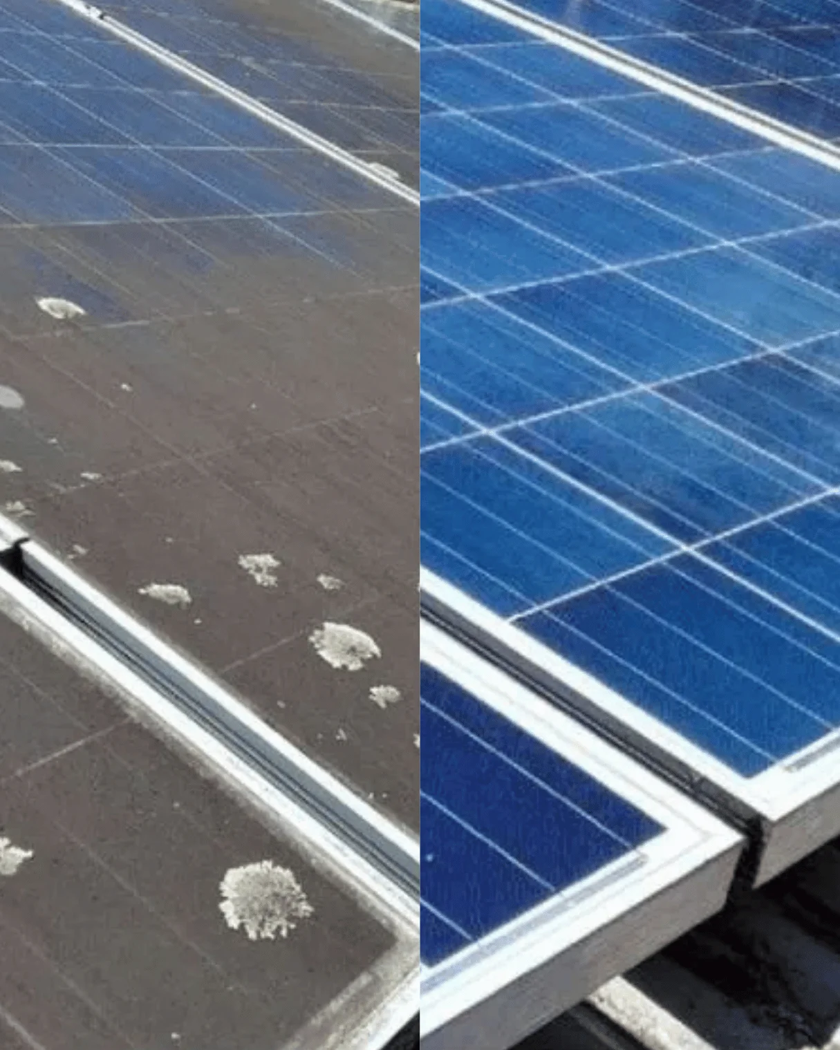 Solar panels before and after bird dropping removal