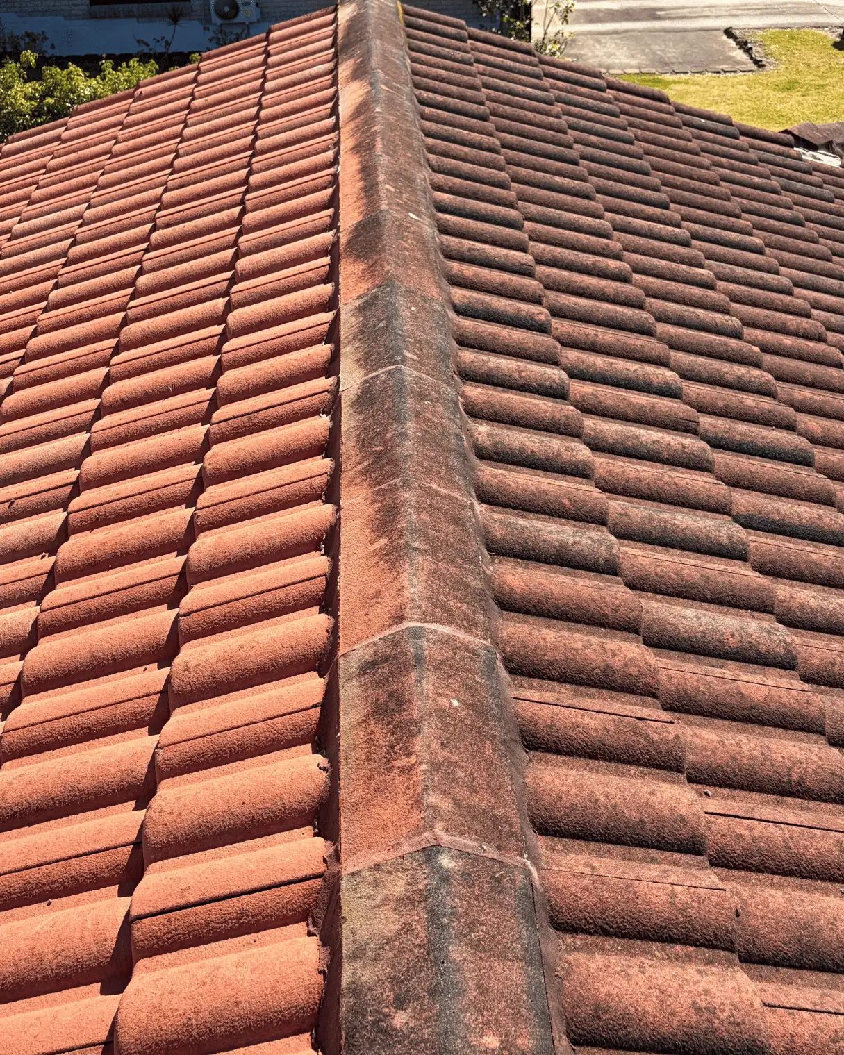 Terracotta tile roof with lichen before cleaning