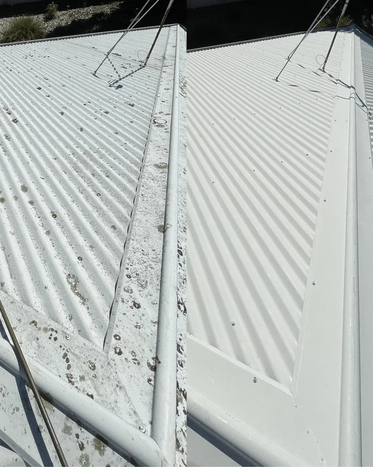 Colorbond roof before and after a soft wash